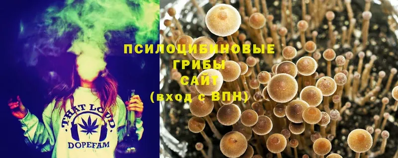 Псилоцибиновые грибы Magic Shrooms  Великие Луки 